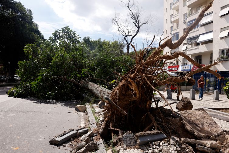 Tânia Rêgo/Agência Brasil Rio de Janeiro (RJ), 30/07/2026 - Estragos provocados pelos fortes ventos que atingiram a cidade na tarde desta quarta-feira (30). Foto: Tânia Rêgo/Agência Brasil